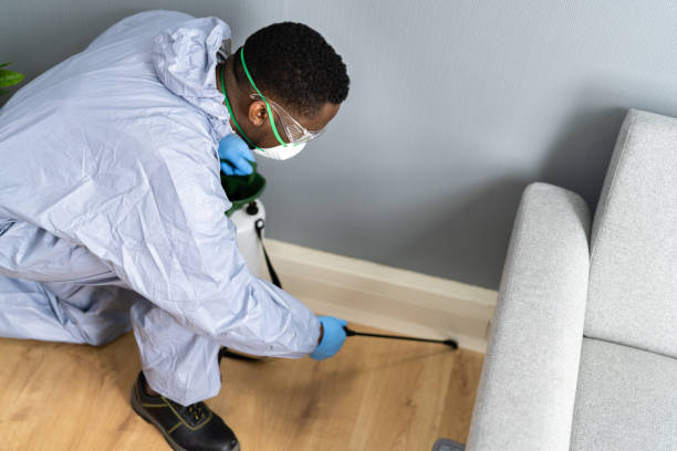 Best Fumigation Services  in Smithville, TX